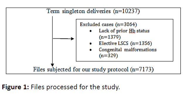 critical-care-obstetrics-files-processed